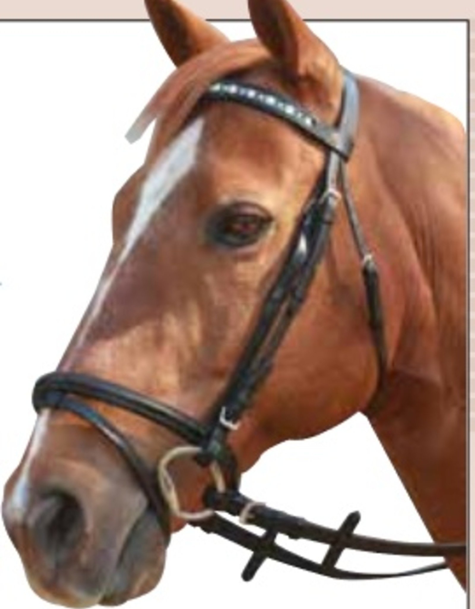 Showcraft Linking Horse Browband -Black - Pony