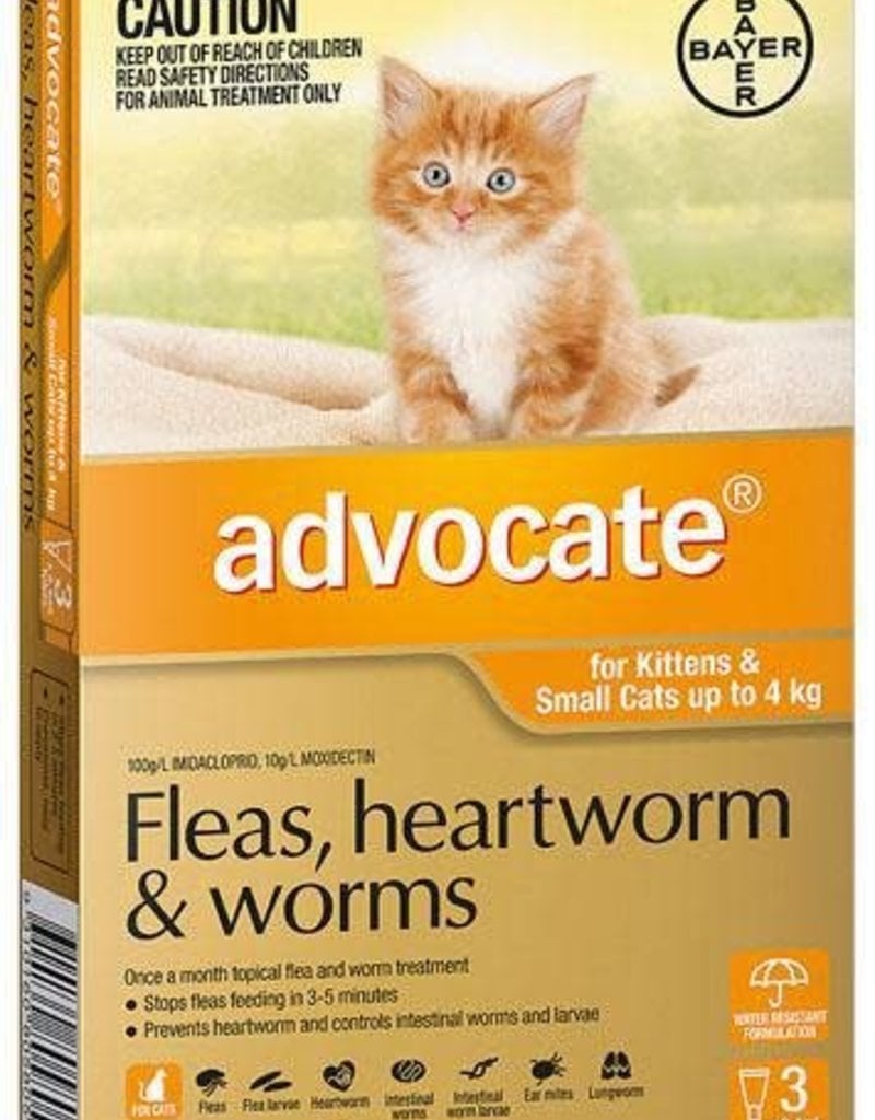 Advocate Flea Treatment Cats toxoplasmosis