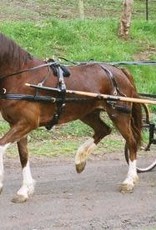 Showcraft Synthetic - Driving Harness - Pony