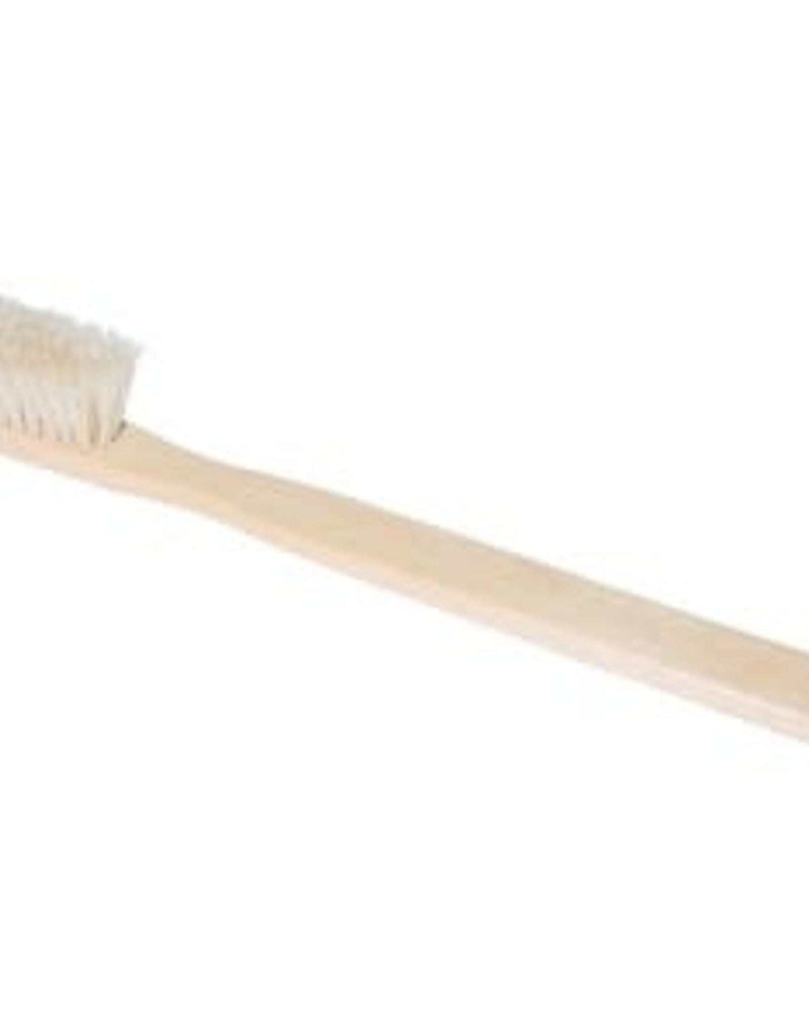 Horse Tooth Brush