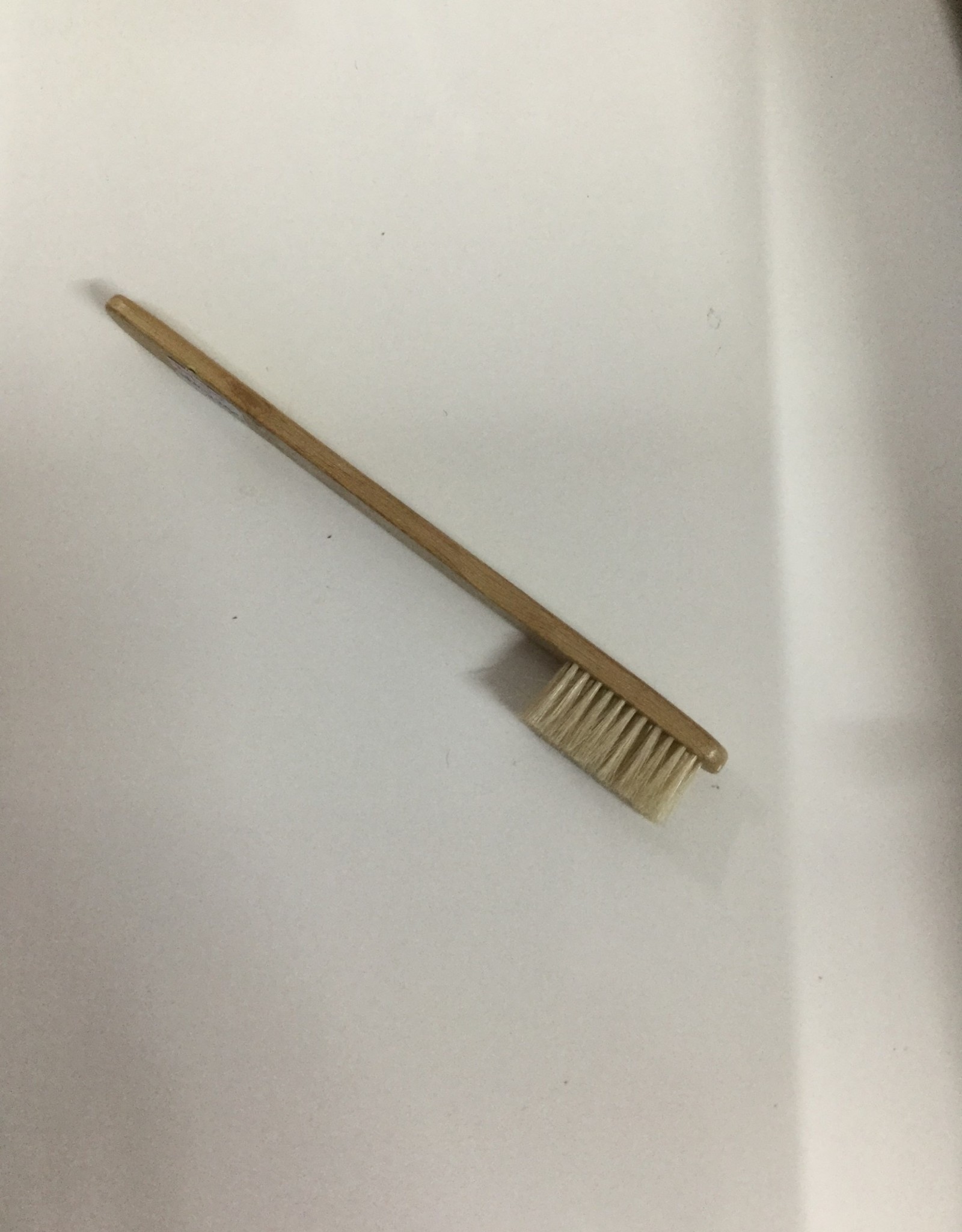 Horse Tooth Brush