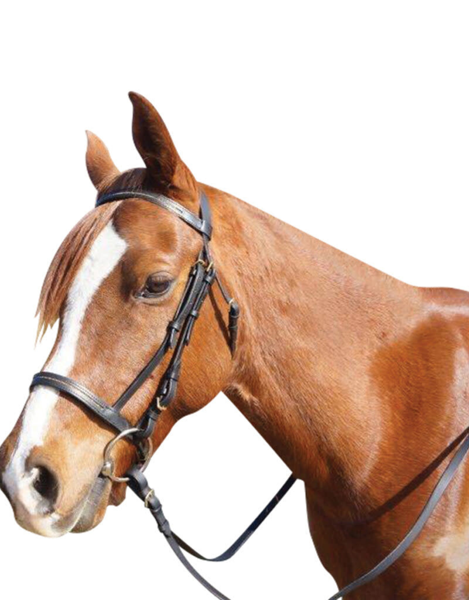 Chain Cavesson Bridle - Cob - Black