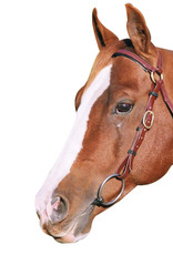 Barcoo Bridle - Full - Brown