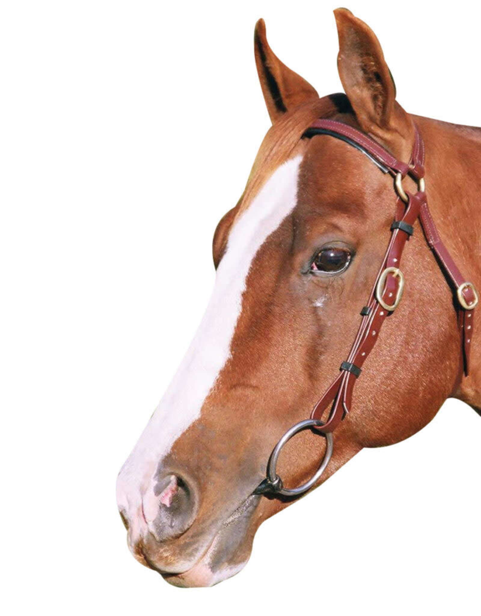 Barcoo Bridle - Full - Brown
