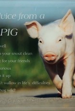 Plaque - Advice from a Pig