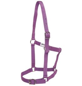 Rancher Webbing Halter