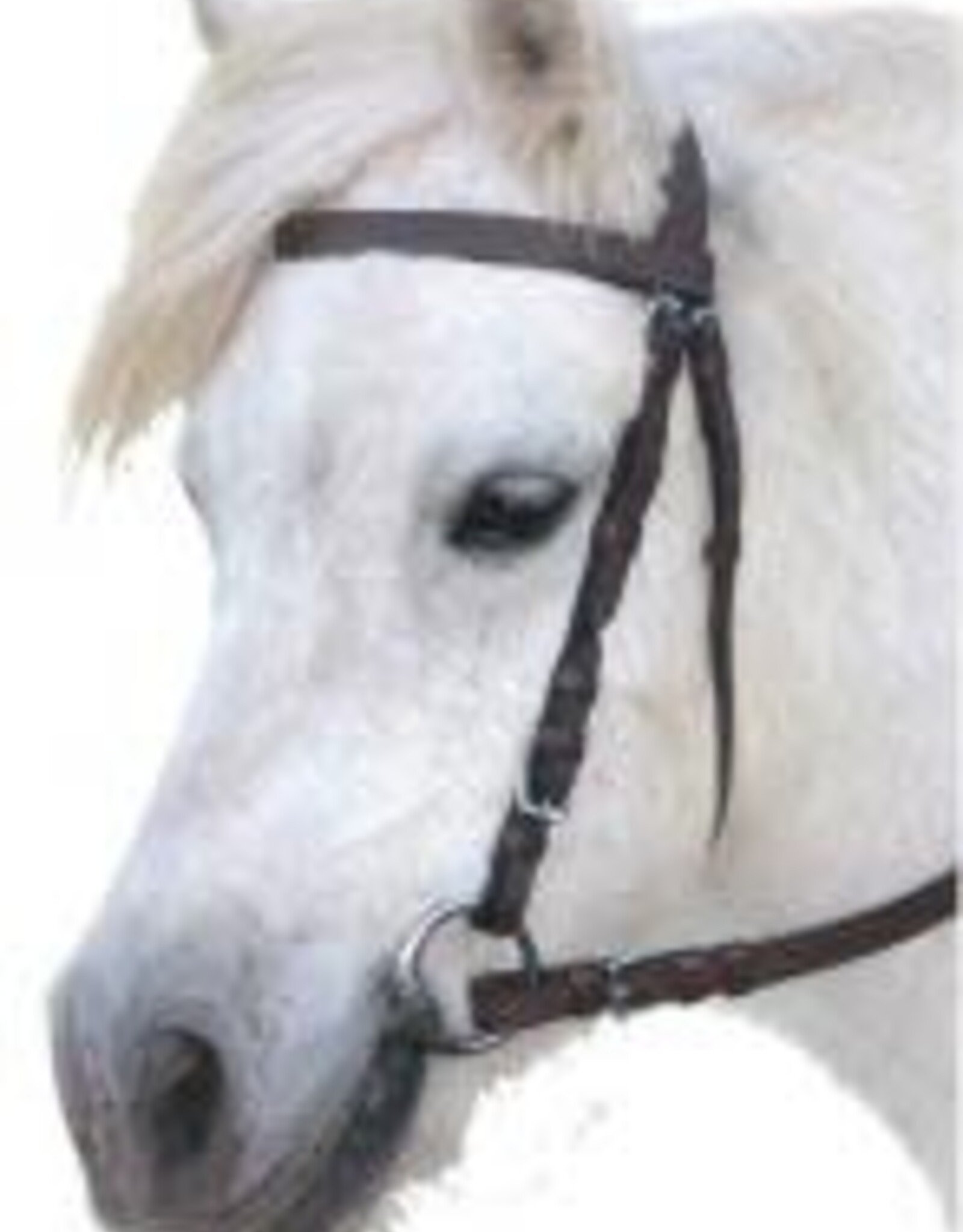 Eureka Plain Snaffle Without Noseband - Black - Pony