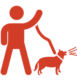 6 Week Training Class - Reactive Dog: Part 2