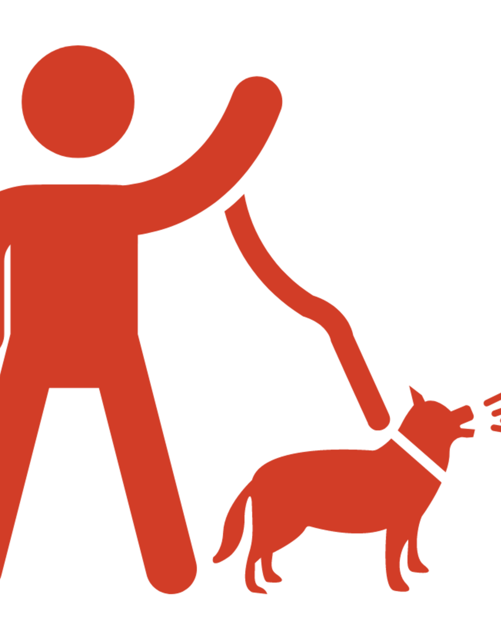 6 Week Training Class - Dog Reactive: Part 1