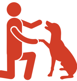 6 Week Dog Training Class - Manners
