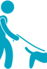 3 Week Dog Training Class