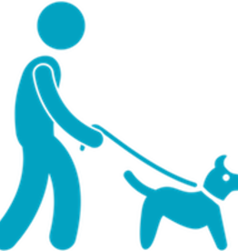 3 Week Dog Training Class