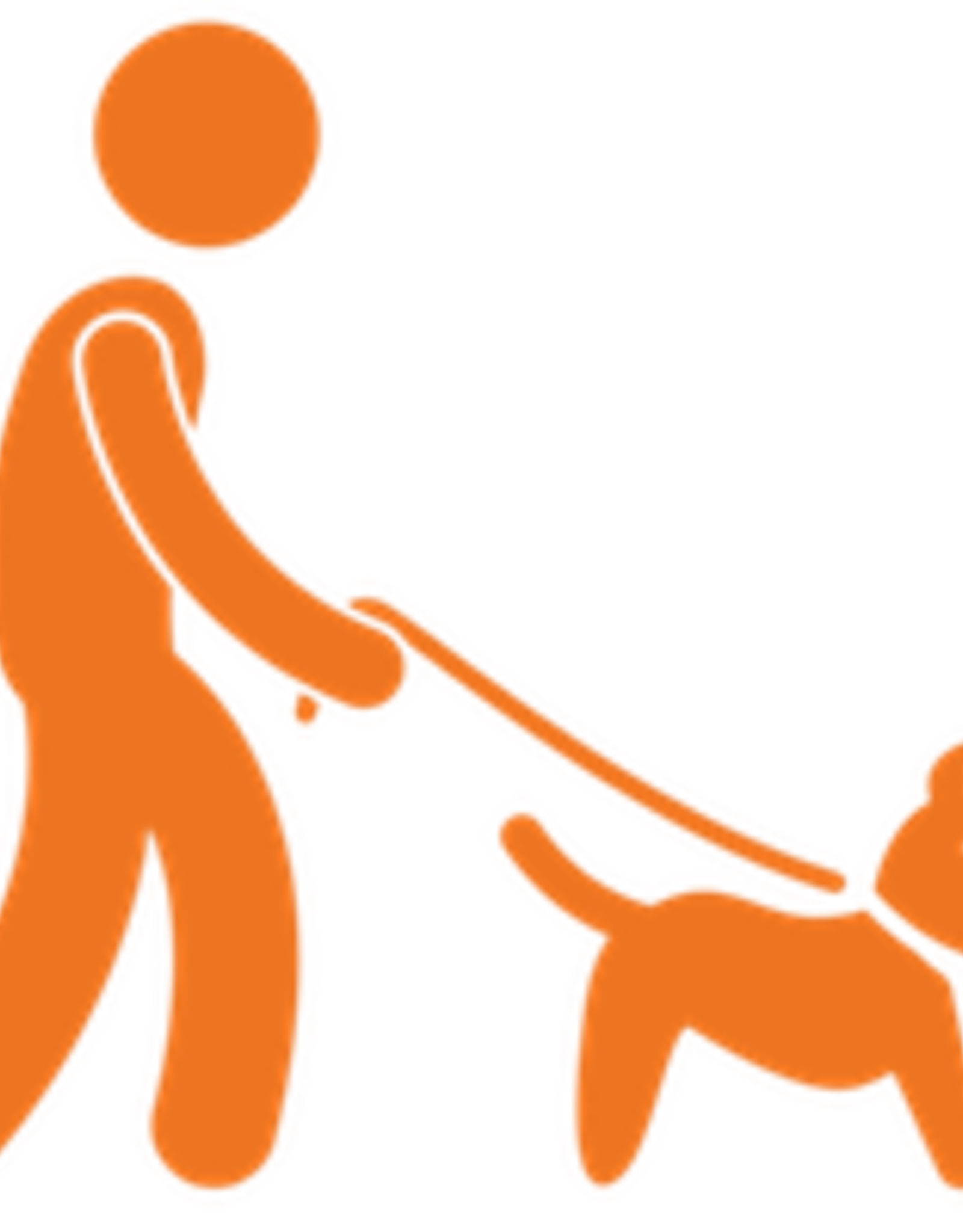 Trainer Development for Dog Walks - 1 follow-up