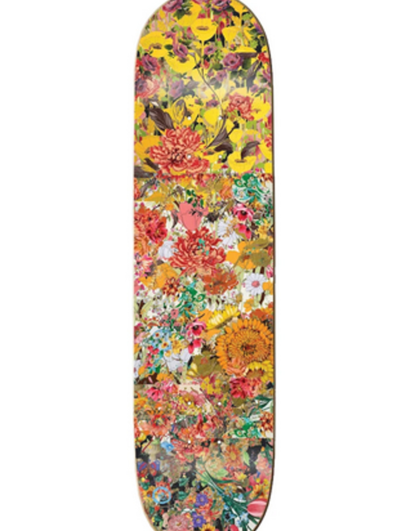 The Killing Floor The Killing Floor 8 25 Wildflower 2 Deck The Garden