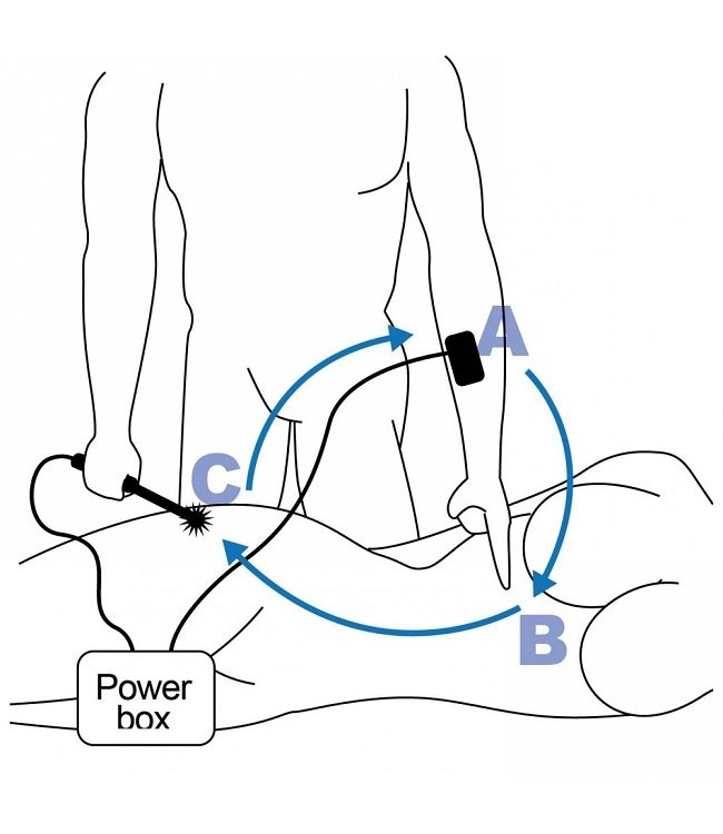 Zeus Electrosex Zeus Electrosex Electric Wartenberg Wheel E-stim Kit