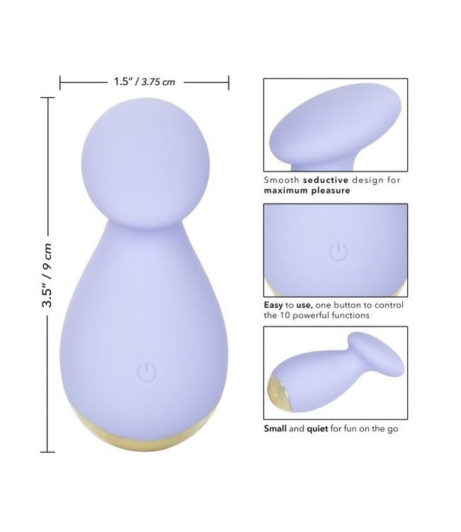 CalExotics Slay #EnticeMe