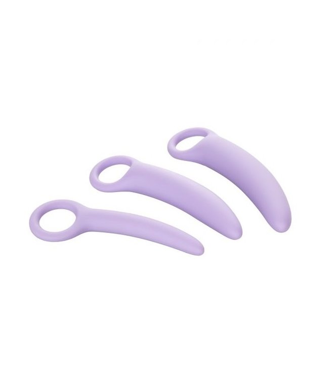 CalExotics Dr. Laura Berman Intimate Basics Alena Silicone Dilators