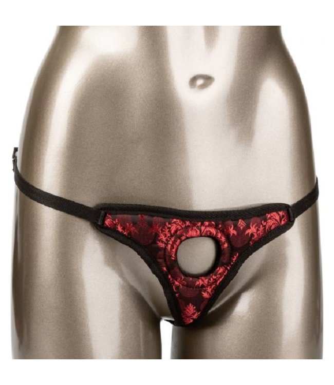 CalExotics Scandal Thong Harness