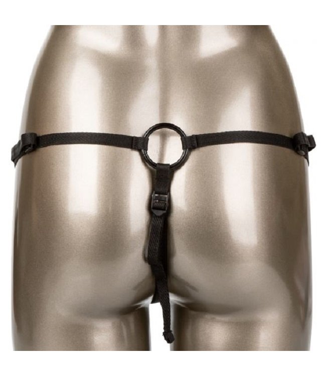 CalExotics Scandal Thong Harness