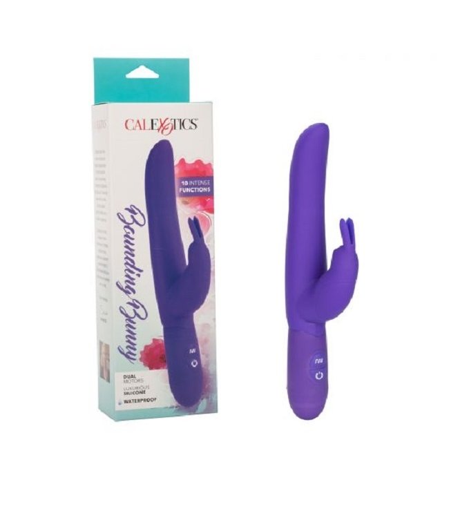 CalExotics Bounding Bunny