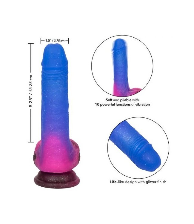 CalExotics Naughty Bits Ombré Hombre Vibrating Dildo