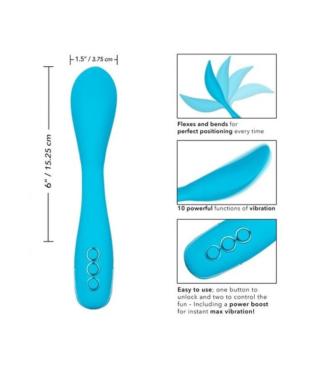 CalExotics California Dreaming Palm Springs Pleaser