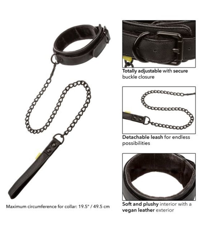CalExotics Boundless Collar & Leash