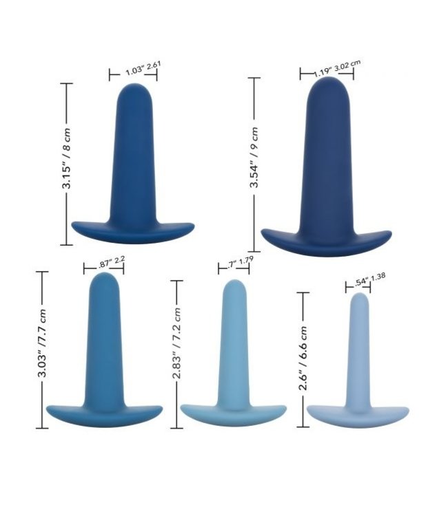 CalExotics They-ology 5-Piece Wearable Anal Training Set