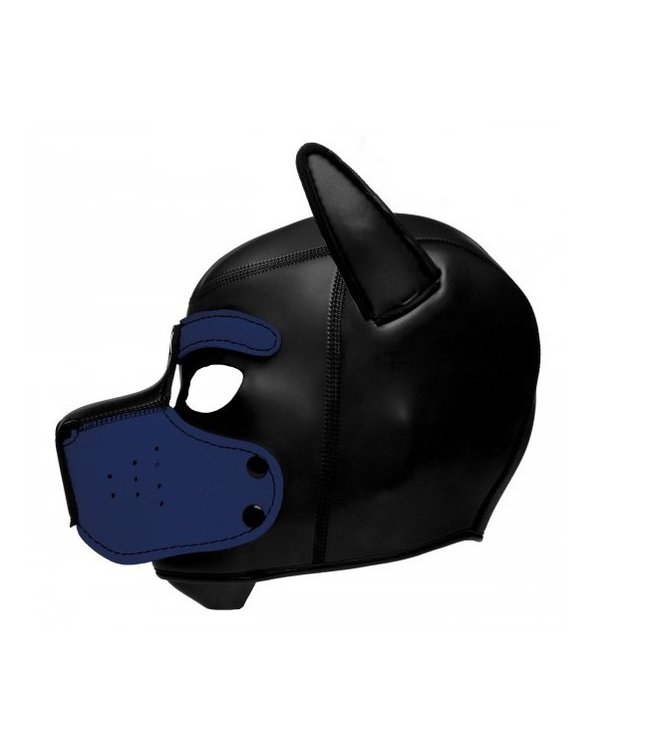 Spike Neoprene Puppy Hood
