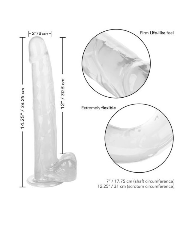 CalExotics Size Queen 12"