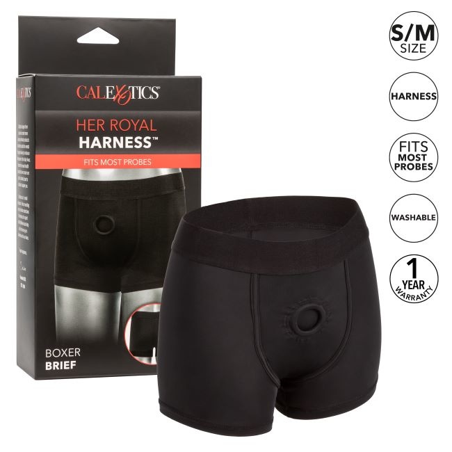 Sport Brief+ Harness - Black (Water Friendly)