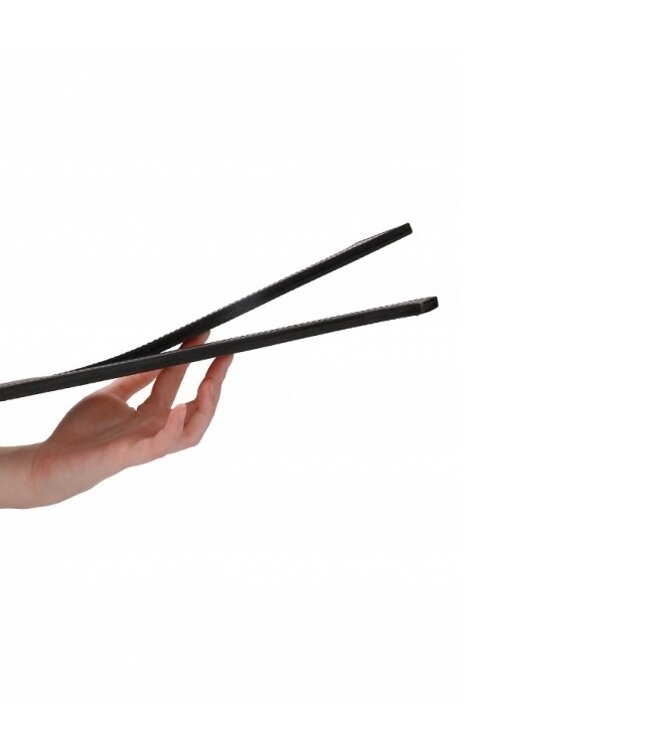 Shots America Ouch! Two Finger Leather Tawse