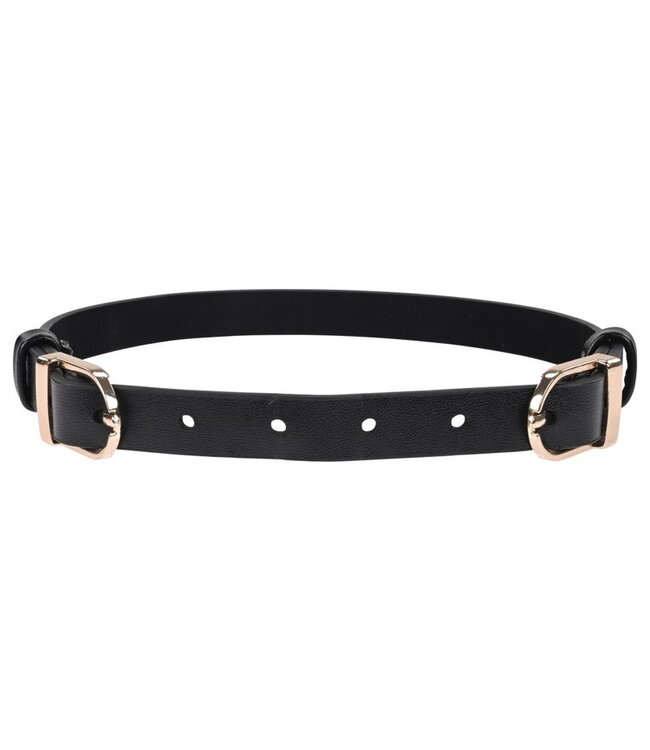 Sex & Mischief Double Buckle Day Collar