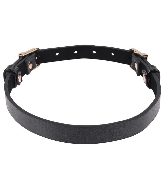Sex & Mischief Double Buckle Day Collar