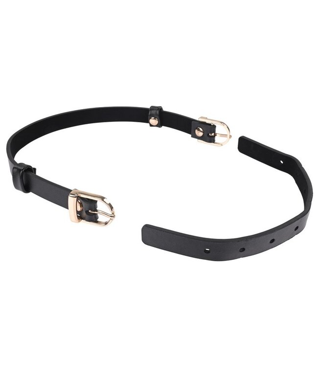 Sex & Mischief Double Buckle Day Collar