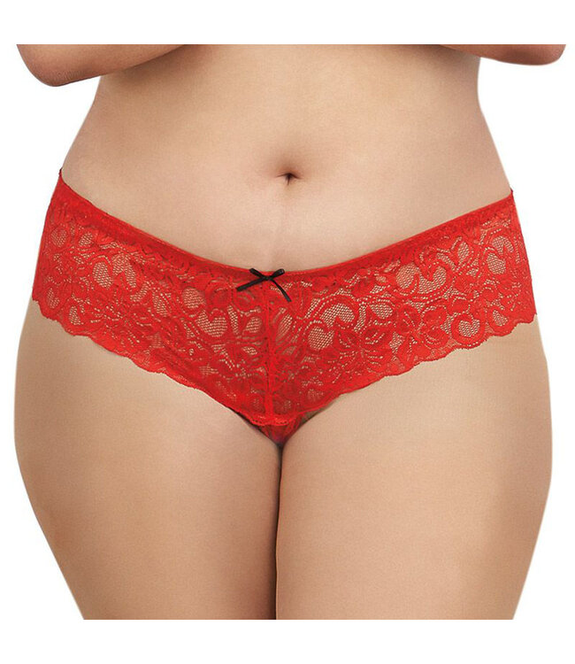 Dreamgirl Dreamgirl Stretch Lace Crotchless Boyshort Queen
