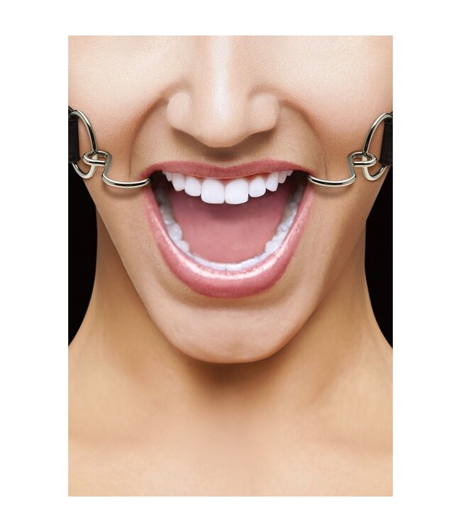 Shots America Ouch! Hook Gag