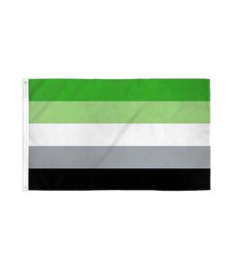 Aromantic Pride Flag 3ft x 5ft