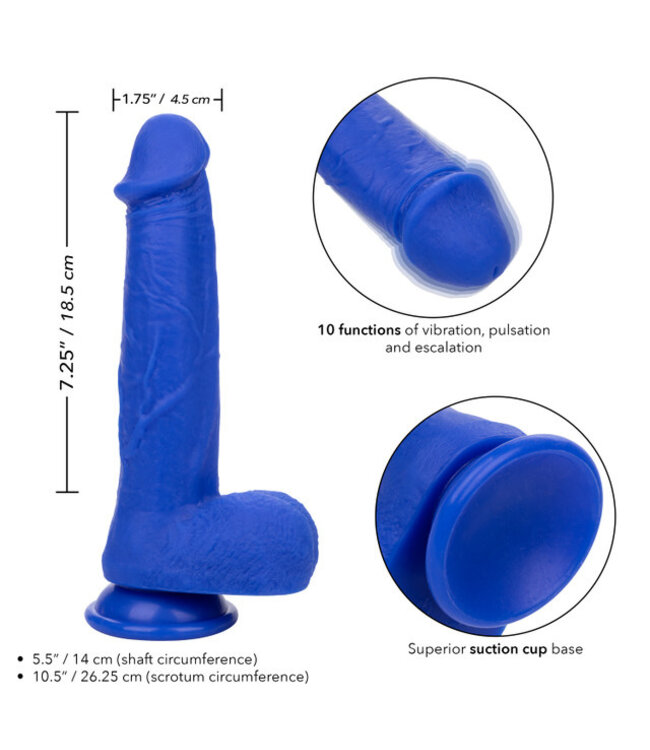 CalExotics Admiral® 8” Vibrating Captain