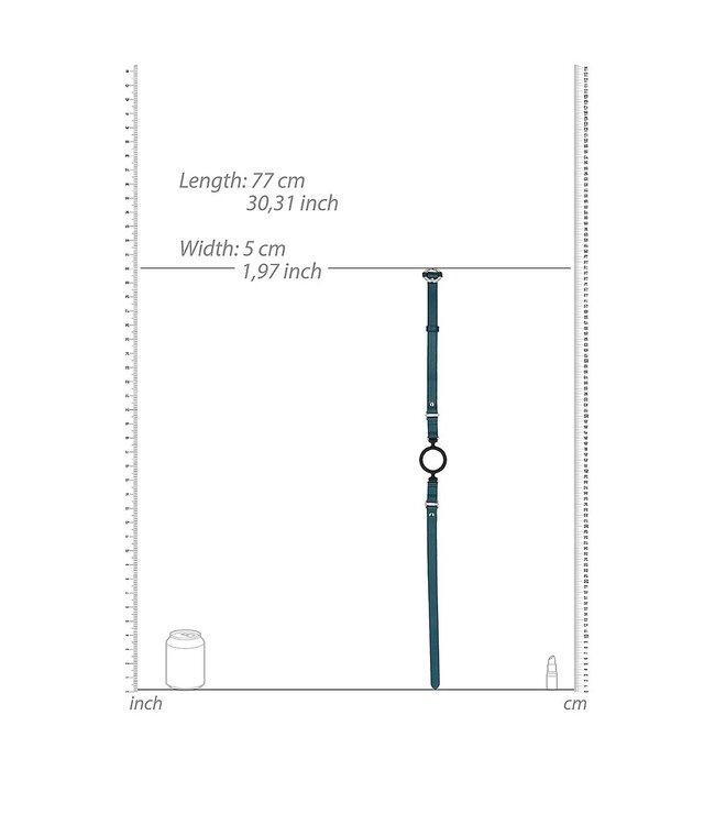 Shots America Ouch! Halo Silicone Ring Gag