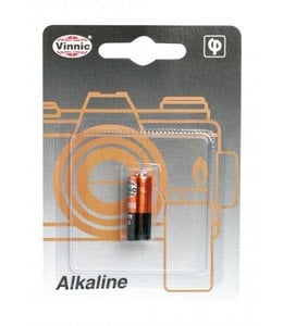 Vinnic 12 Volt Battery