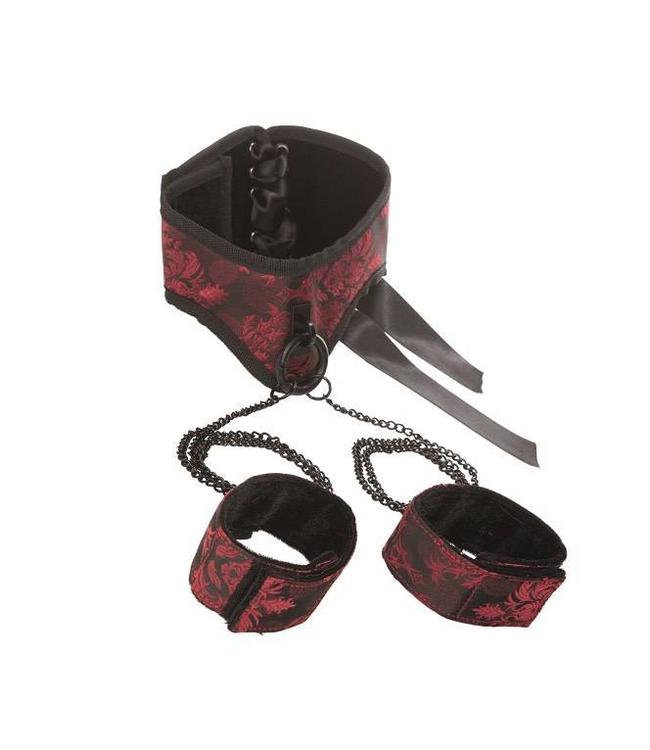 CalExotics Scandal Posture Collar with Cuffs