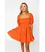 Buddy Love Spencer Puff Sleeve Mini Dress