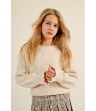 Mini Molly by Molly Bracken Puff & Play Sweater