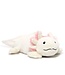 Large Stuffed Warmies