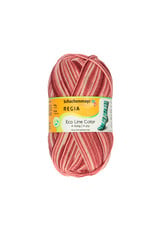 Regia Regia Eco Line Color 4-ply