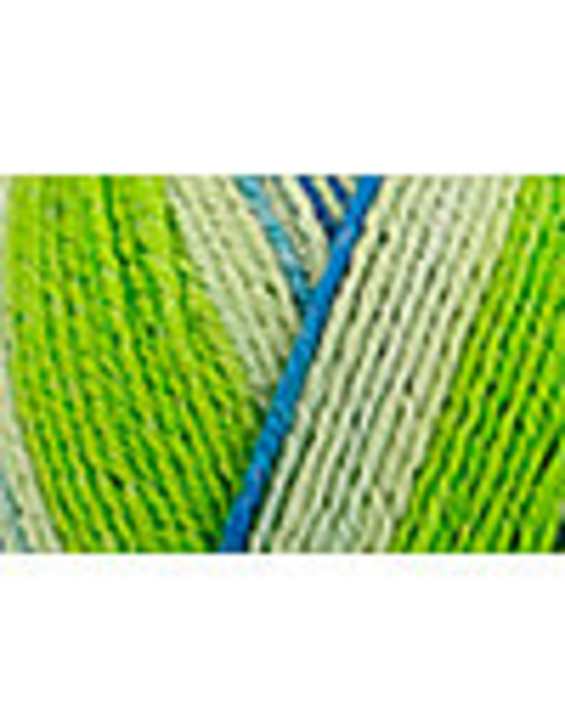 Regia Regia Cotton Cocktail Color