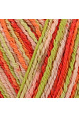 Regia Regia Cotton Tutti Frutti Color