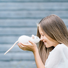 Neat Little Nelli the Rat
