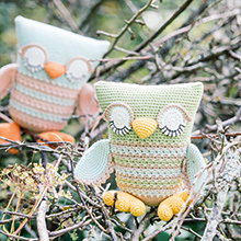 Sleepy Owl